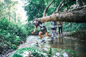 BIB: 
                            <button type="button" onclick="openModal(25445233)" class="btn btn-primary btn-sm float-right btn-popup" data-toggle="modal" data-target=".modal-high-quality">
                        <i class="fas fa-shopping-cart"></i> Add to Cart
                    </button>
                                            <button type="button" onclick="isThisMe(25445233, true)" class="btn btn-success btn-sm float-right btn-popup btn-isme hidden" data-toggle="tooltip" data-placement="bottom" title="นี่คือรูปของคุณใช่ไหม คลิกที่นี่เพื่อเอาเข้าอัลบั้ม">
                        <i class="fas fa-plus"></i> Add to album
                    </button>
                    <button type="button" onclick="isThisMe(25445233, false)" class="btn btn-warning btn-sm float-right btn-popup btn-isnotme hidden">
                        <i class="fas fa-ban"></i> Remove from album
                    </button>